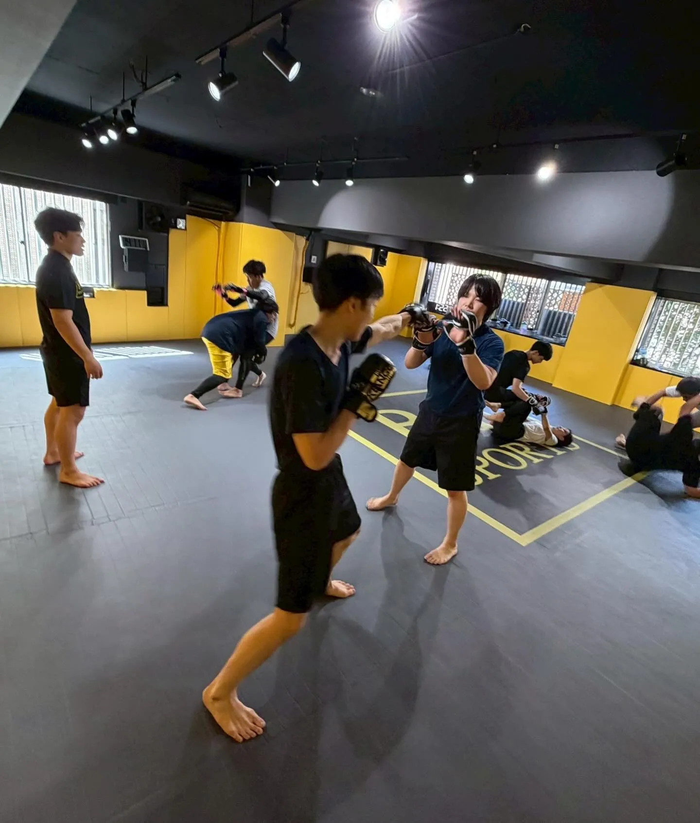 🥊🔥 調布市『国領』でMMA・キックボクシングを始めませんか...