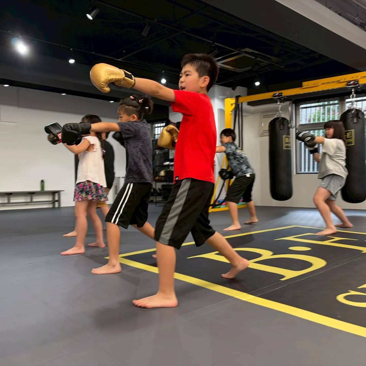 🥊🔥 調布市『国領』でキックボクシング&MMAを始めませんか...