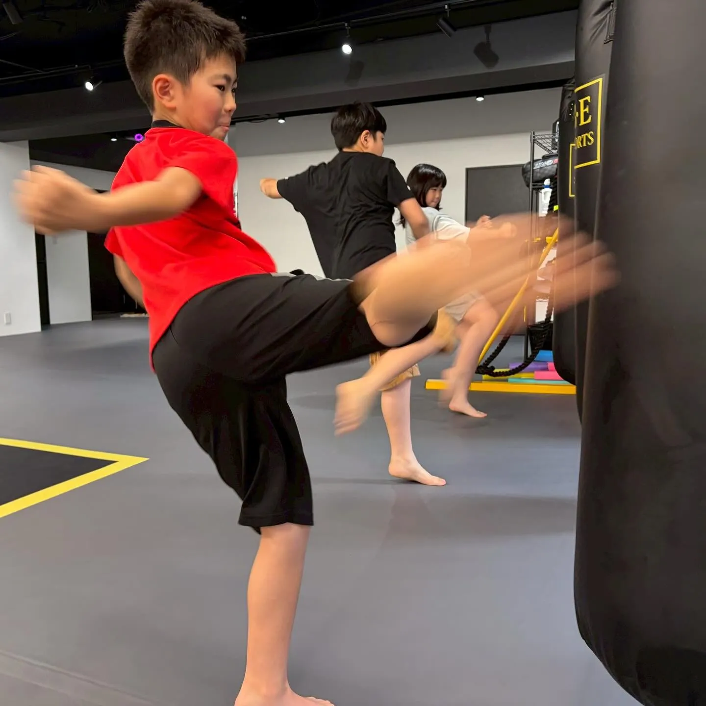 🥊🔥 調布市『国領』でキックボクシング&MMAを始めませんか...